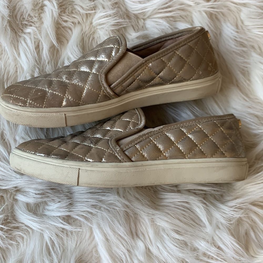 Steve Madden Women's Ecentrcq Shimmer Sneaker Size 7B - Picture 6 of 11